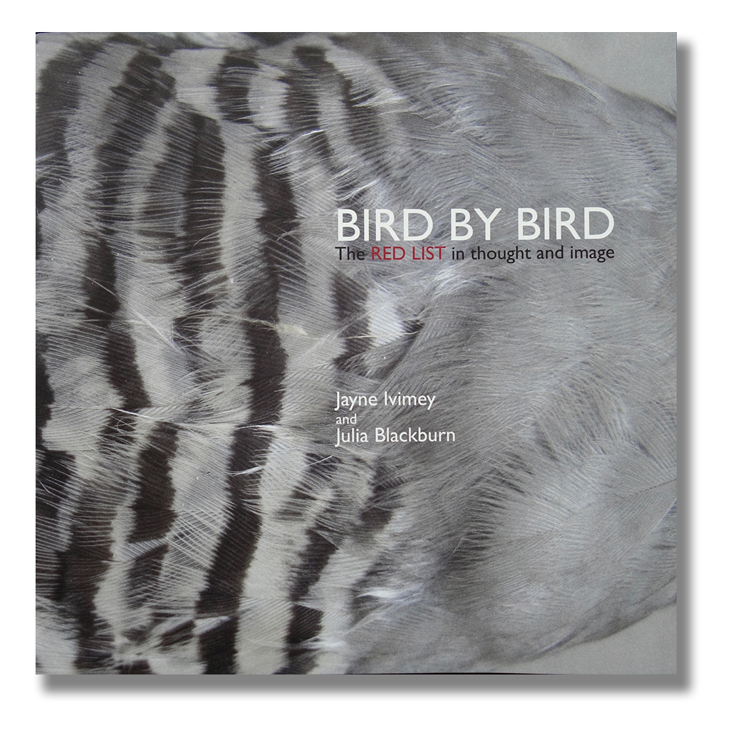 Bird by Bird book cover