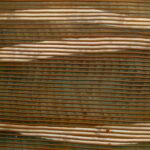 Doggerland 1